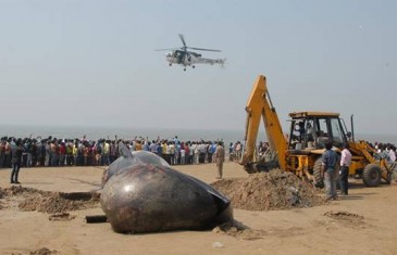 Indija: Rijetka vrsta kita pronađena nasukana na obali