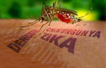 Stručnjaci upozoravaju: Epidemija zika virusa itekako je moguća, na udaru su bebe, a jedina zaštita je smanjenje rizika od uboda komaraca