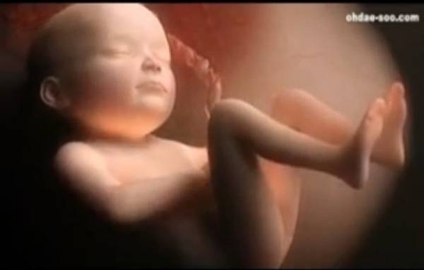 FASCINANTAN PROCES:Pogledajte život bebe tokom devet mjeseci trudnoće u samo četiri minute! (VIDEO)