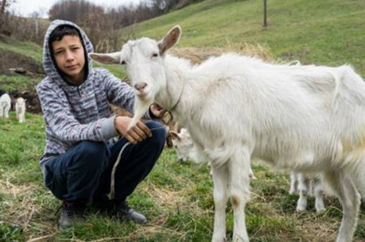 Jasmin Hačkčić: Od skromne želje koja je rasplakala region do stada od 25 koza