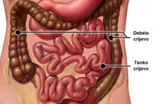 Zašto nastaju naslage u crijevima i kako ih se prirodno riješiti