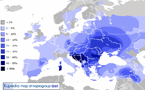 Nacionalizam je izmišljen: Ovo je dokaz da nema razlike između Srba, Hrvata i Bošnjaka!