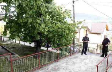 TRAGEDIJA U SARAJEVU: Brala trešnje na drvetu i poginula