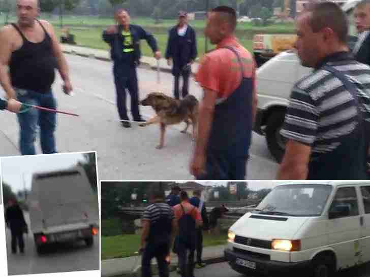 ŽENA VIKALA «NEMOJTE, MOLIM VAS»: Objavljen snimak hvatanja psa u Sarajevu! (VIDEO)