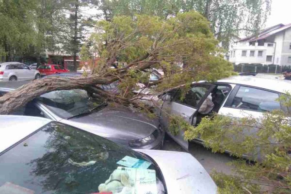 Vozač kombija napravio dar-mar na Ilidži: Srušena dva stabla, oštećeno pet vozila.