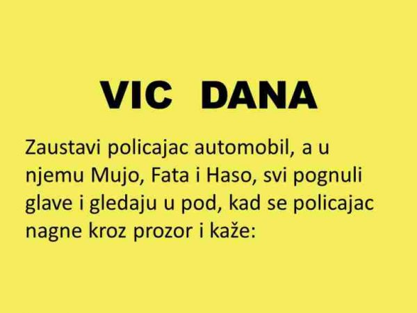 VIC DANA: Policajac zaustavlja automobil.