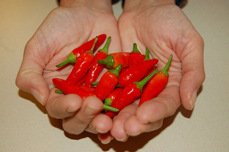 Sastojak ljutih paprika može da uništi ćelije raka