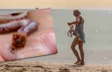 Na plaži ispod vaših nogu vreba jezivi crv koji napada otrovnim metalnim zubima!