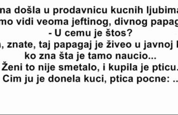 VIC SEDMICE: Žena došla u prodavnicu i kupila papagaja…
