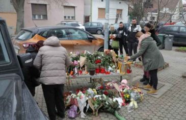 NAJDIRLJIVIJA FOTOGRAFIJA ISPRED BALAŠEVIĆEVE KUĆE U NOVOM SADU: Rastužit će vas ovaj prizor, evo ko je došao da ostavi bijelu ružu