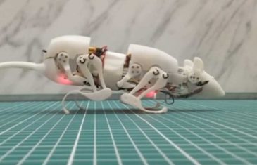 ČUČI, STOJI, HODA, PUŽE…: Kinezi razvili specijaliziranog robotskog štakora, pogledajte ga na djelu…