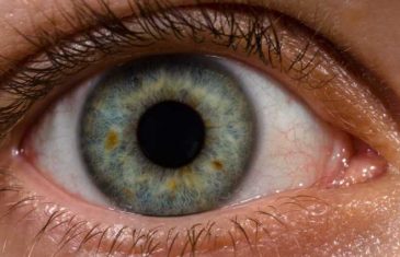 Senzacionalno otkriće: Naučnici uspjeli vratiti u život mrtve oči. Moguće je i da moždana smrt nije nepovratna?