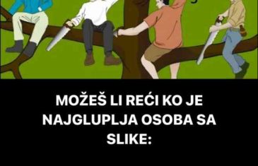 MOŽEŠ LI REĆI KO JE NAJGLUPLJA OSOBA SA SLIKE: Evo šta taj odgovor govori o tebi…