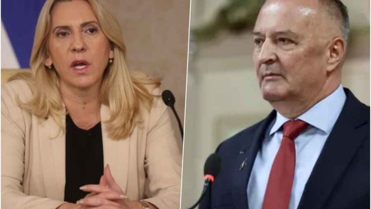 I ŽELJKA CVIJANOVIĆ SE OKOMILA NA HELEZA: Zašto ga je nazvala trovačem i nasilnikom?