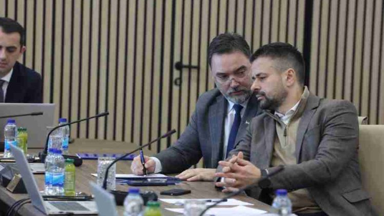 KOŠARAC I AMIDŽIĆ POSTAVILI USLOVE: Podržat će evropske zakone ako…