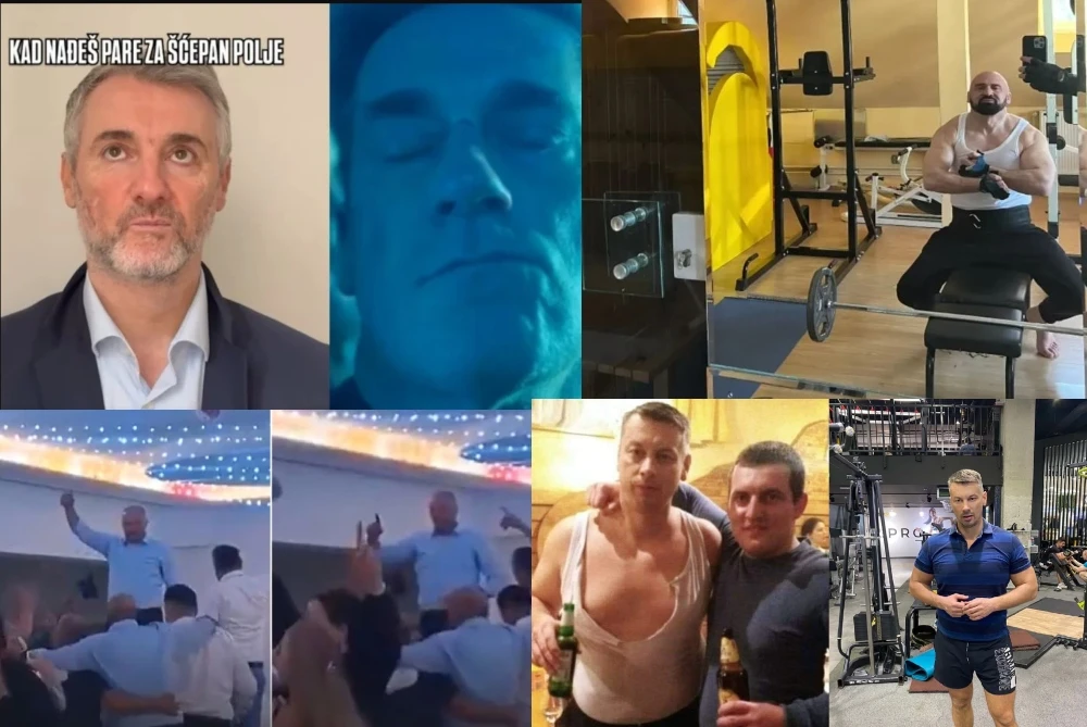 Vole kafane, teretane, a neki se trebaju vratiti u “vinklo”: Ko su “vječiti mladići” bh. politike zbog kojih gore mreže