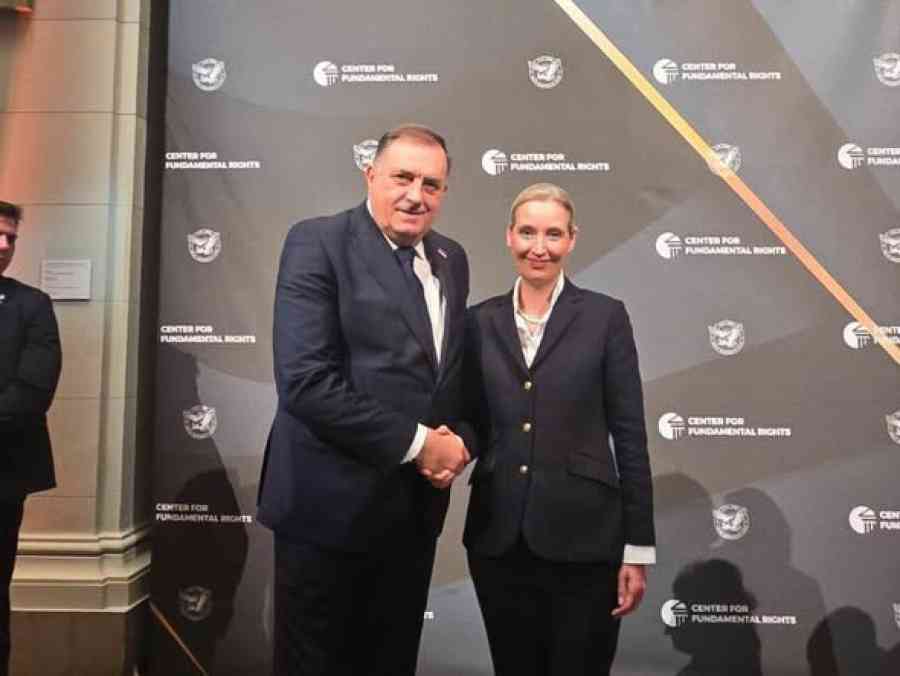 DODIK, AFD I MISTERIOZNI TUZLAK: Razotkriven šokantan plan infiltracije njemačke desnice u Federaciju BiH!