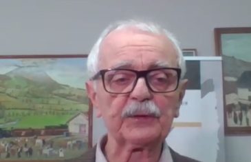 Somun: Opasnost po cjelovitost BiH ne stiže samo iz Rusije i Srbije