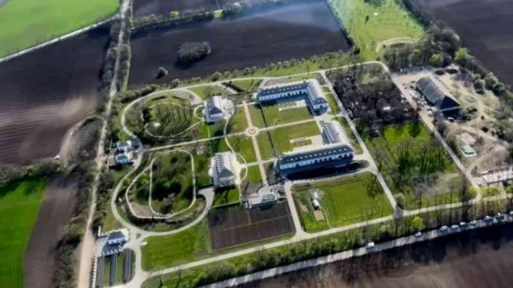 Imanje Orbanovih sa zebrama vrijedi barem 10 miliona eura. Vlasnik? Nije Viktor nego…