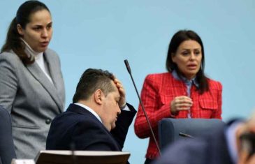 POLITIČKI RING BEZ PRAVILA: Da li je Anja Ljubojević veći Stevandić od STEVANDIĆA